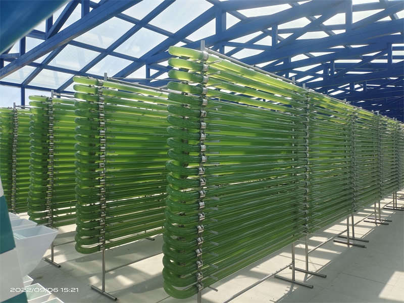 ���(l��i)�B(y��ng)ֳ�ӹ��N(xi��o)�� �ܵ��B(y��ng)ֳ